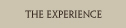 The Experience